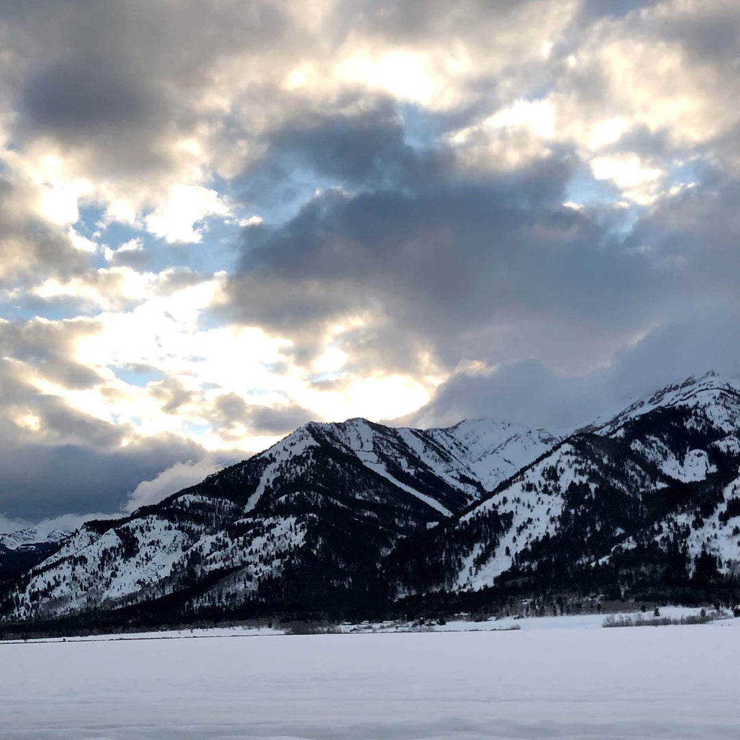 Mimi So Jackson Teton Mountain Inspiration