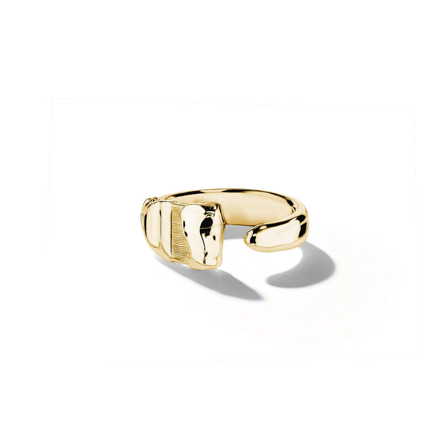 Parsons Brush Ring – X-Large_18k Yellow Gold